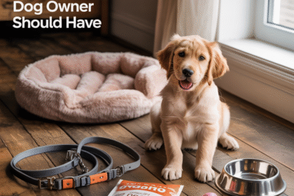 Top 5 Essential Products Every Dog Owner Should Have